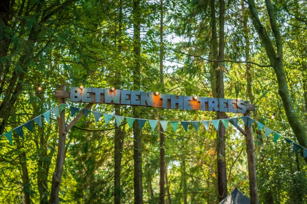 Between The Trees 2026